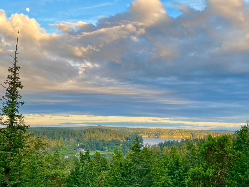 Madrona Suite Eastsound Екстериор снимка